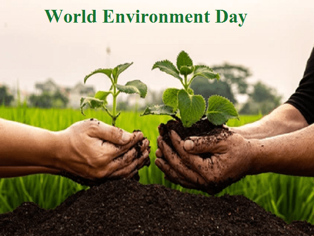 World Environment day - Planting Trees